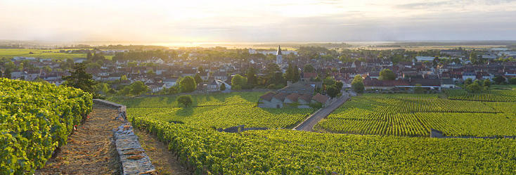 Carrefour des Vins à Nuits-St-Georges